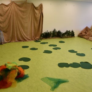 Der Bewegungsraum der PAS