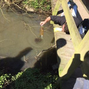 Hamburg räumt auf 2017