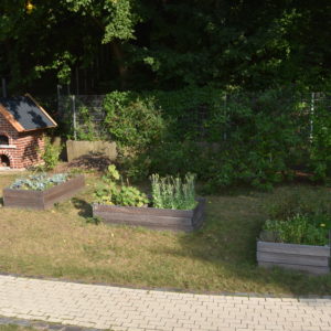 Der Nutzgarten