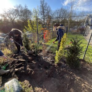 Pflanzen im Sonnenlicht