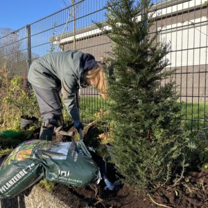 Pflanzen am Wegesrand