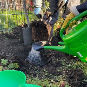 Wasser für die neuen Pflanzen