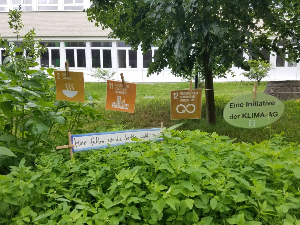 signal-2024-06-03-121828